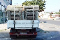 Pronađeno 16 trupaca jele i smrče bez šumskog žiga