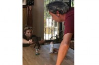 “Kućna radinost” projekat kratkih filmova poznatih glumaca i režisera: Uključena mašta za genijalni bioskop