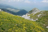 Данас сунчано и топло