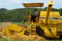 Производе 150.000 литара млијека, нема годишњег и боловања