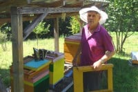 Милош Оџић, предсједник Друштва пчелара Нови Град: Принос пет килограма меда по кошници