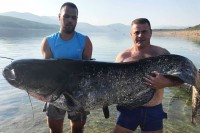 Рибар у Билећком језеру уловио сома тешког више од 90 килограма