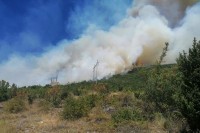 Otkrivena osoba koja je izazvala požar u Banjevcima