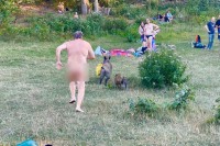 Divlja svinja ukrala nudisti laptop, vlasnik je jurio