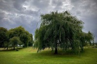 Данас топлије, али и даље нестабилно са кишом и пљусковима
