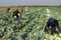 Мастало: Важно стимулисати повртаре у Српској