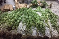 U pretresima na tri lokacije pronađena droga i oružje