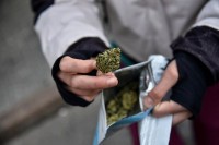 Policija tokom racije u ugostiteljskom objektu pronašla marihuanu kod maloljetnika