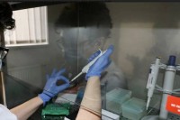 FBiH: Preminulo sedam osoba, 169 pozitivno na virus korona