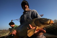 Чисти водотоци гаранција квалитета рибе