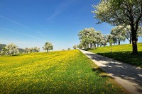 Данас свјежије, уз умјерену облачност