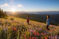Данас претежно сунчано