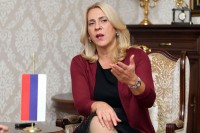 Cvijanović: Napadi na Viškovića tempirana tema