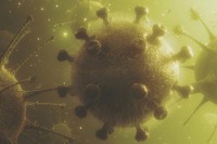 Naučnici sumnjaju: Mnogi imuni na koronavirus, a nisu ni bili zaraženi?