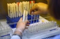 Вирусом корона заражено245 особа, преминуле четири, рекордан број хоспитализованих