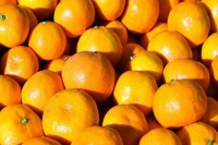 У мандаринама из Турске утврђен повећан садржај пестицида