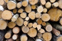 Општина Вишеград за набавку огрева социјално угроженим лицима издвојила 16.500 КМ
