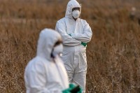 U svijetu zaražene 12.278.542 osobe, 99 odsto nije životno ugroženo