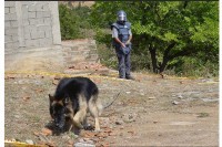 Стотине паса обучених у БиХ траже мине у 11 земаља