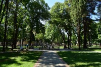 Park