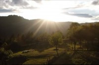 Kusturica snimio kratki film “Junaci našeg vremena” VIDEO
