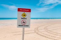 Australija: Muškarac stradao u napadu ajkule
