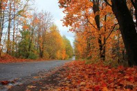 Хладно и стабилно током дана