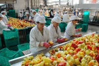 Филиповић: План остварен, извоз готових производа испуњен