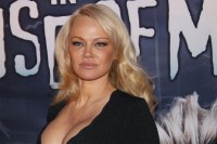 Izložba o Pameli Anderson od 8. decembra u Beogradu
