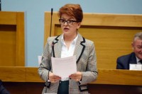 Vidović: Za privredu predviđeno oko 400 miliona KM