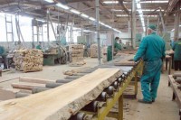 Шиник: Задовољавајућа година за дрвопрерађиваче упркос вирусу корона