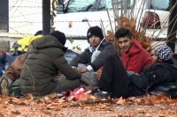 Fazlić: Po šumama 1.500 migranata, stanovništvo Bihaća u strahu