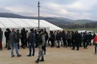 Cikotić: Kantonalna vlast iskomplikovala rješavanje migrantske krize