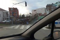 Снажан вјетар оборио стабло на аута