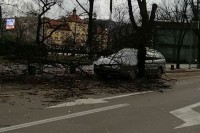 Јак вјетар прави штету у Бањалуци, стабла пала на паркиране аутомобиле