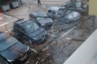 Jak vjetar pravi štetu u Banjaluci, stabla pala na parkirane automobile FOTO