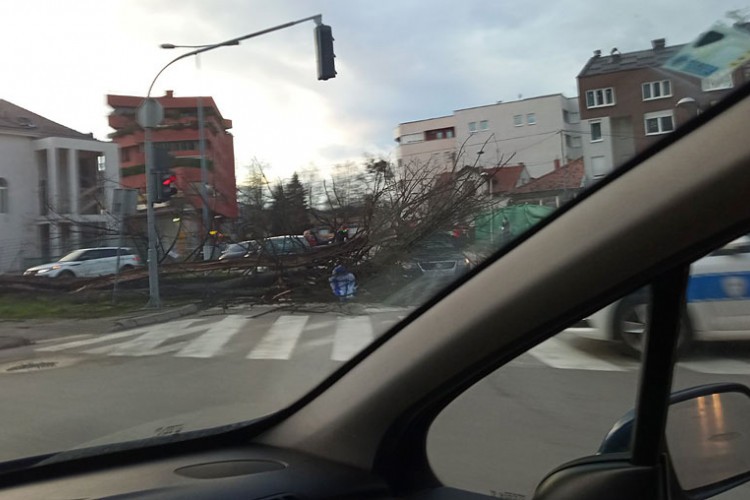 Снажан вјетар оборио стабло на аута