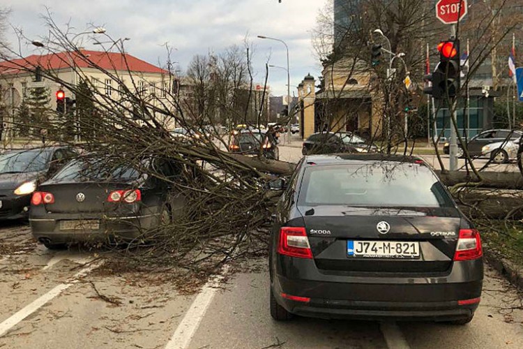 Јак вјетар прави штету у Бањалуци, стабла пала на паркиране аутомобиле