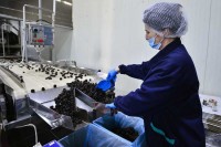 Spoljnotrgovinski deficit poljoprivredno-prehrambene industrije za devet mjeseci veći od 1,6 milijardi KM