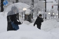 "Polarna svinja" prijeti Evropi