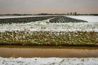 Агрометеоролошки услови дјелимично одговарају радовима у пољу