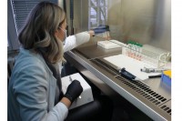 Институт: Комерцијално PCR тестирање заказати пет-шест дана раније због све чешће гужве
