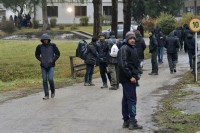 Migranti u FBiH počinili više od 300 krivičnih djela, u Srpskoj 12