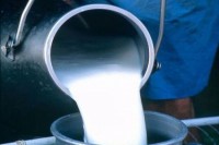 Исплаћено 4,6 милиона КМ на име двије премије за млијеко за 2020.