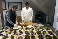 U Brčkom održan prvi "Sudžuk fest"
