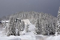 Леден дан са температуром испод нуле