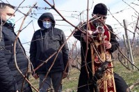 НУБЛ најавио отварање новог студијског програма енологија и виноградарство у сарадњи с Алексиним виноградима ФОТО