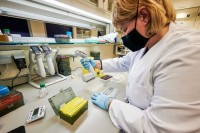 U BiH otkrivena još četiri slučaja britanskog soja virusa