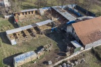 Удружење за заштиту животиња ''Animal Care'': Надлежни органи да затворе нелегалне азиле за псе у Зеници