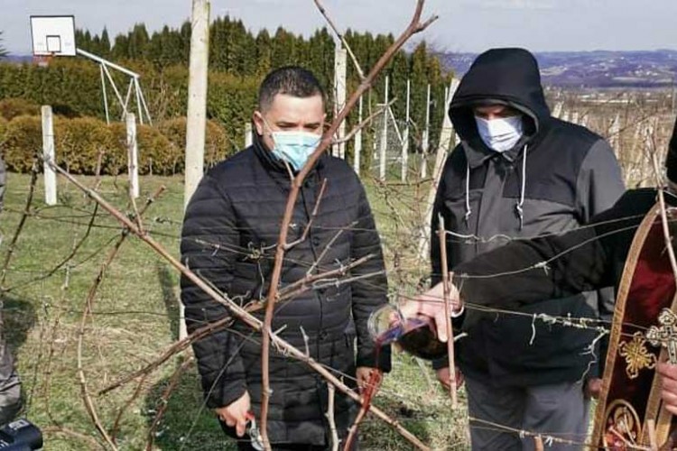 Поводом Светог Трифуна у Алексиним виноградима у Слатини обављено је освештање и резидба винове лозе